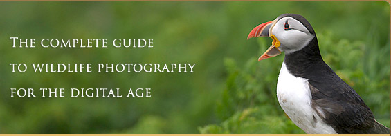 The complete guide to wildlife photography for
the digital age