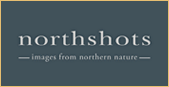 Northshots Images from Northern Nature