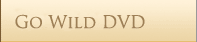 Go Wild DVD