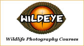 Wildeye Courses